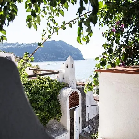 Apartment La Casetta Cava Dell'isola Forio (Isola d'Ischia)